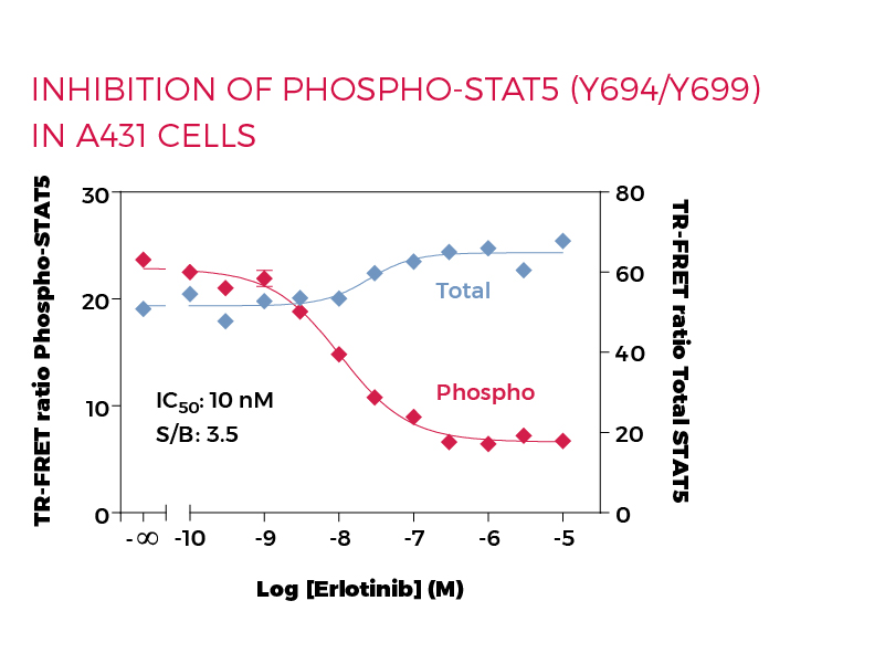 Inhibition of Phospho-STAT5 (Y694/699) in A431 cells Inhibition of Phospho-STAT5 (Y694/699) in A431 cells