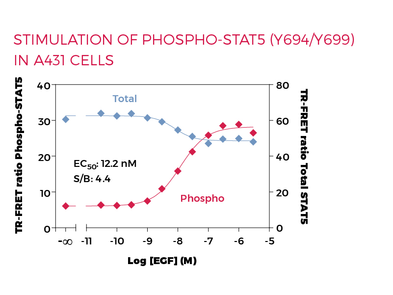Stimulation of Phospho-STAT5 (Y694/699) in A431 cells Stimulation of Phospho-STAT5 (Y694/699) in A431 cells