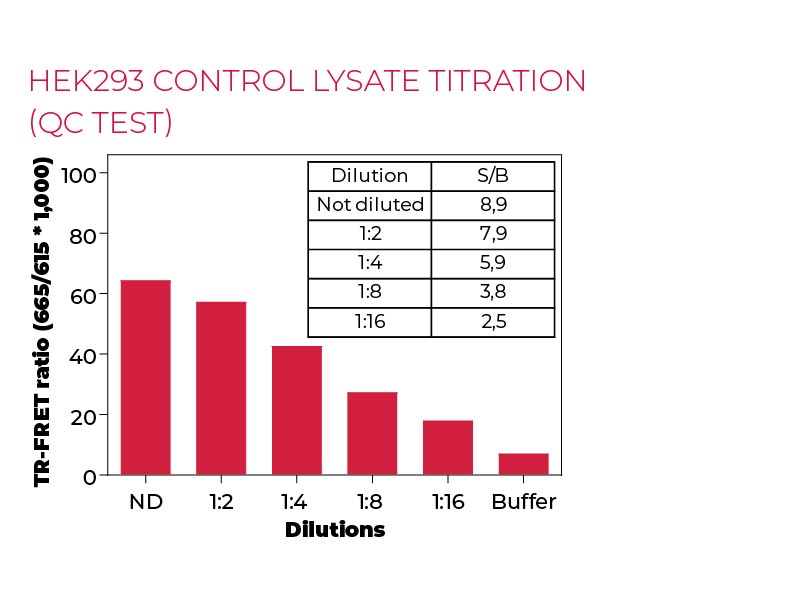 HEK293 control lysate titration (QC Test) HEK293 control lysate titration (QC Test)