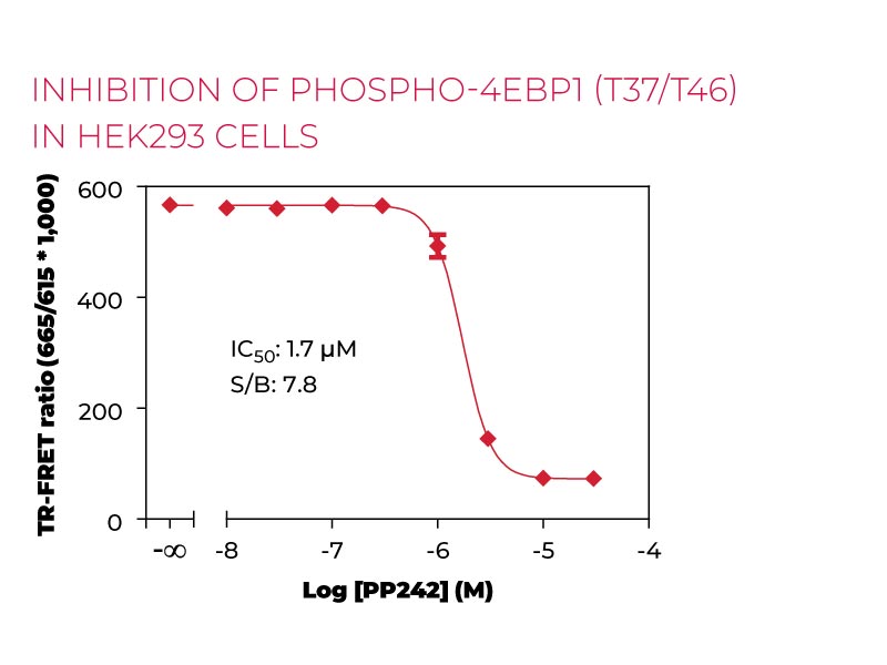 Inhibition of Phospho 4EBP1 (T37-T46) in HEK293 cells Inhibition of Phospho 4EBP1 (T37-T46) in HEK293 cells