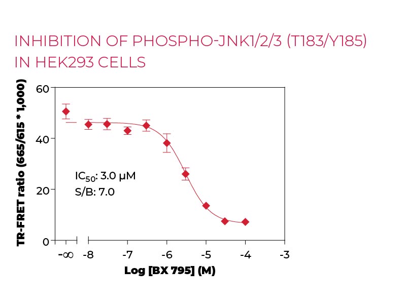 Inhibition of Phospho-JNK1-2-3 (T183-Y185) HEK293 cells Inhibition of Phospho-JNK1-2-3 (T183-Y185) HEK293 cells