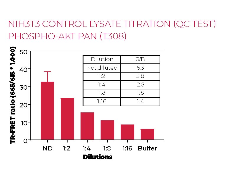 NIH3T3 control lysate titration (QC test) Phospho-AKT pan (T308) NIH3T3 control lysate titration (QC test) Phospho-AKT pan (T308)