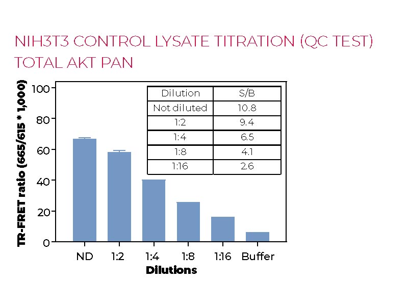NIH3T3 control lysate titration (QC test) Total AKT pan NIH3T3 control lysate titration (QC test) Total AKT pan