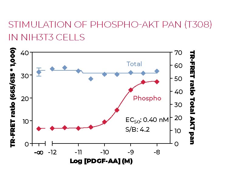 Stimulation of Phospho-AKT pan (T308) in NIH3T3 cells Stimulation of Phospho-AKT pan (T308) in NIH3T3 cells