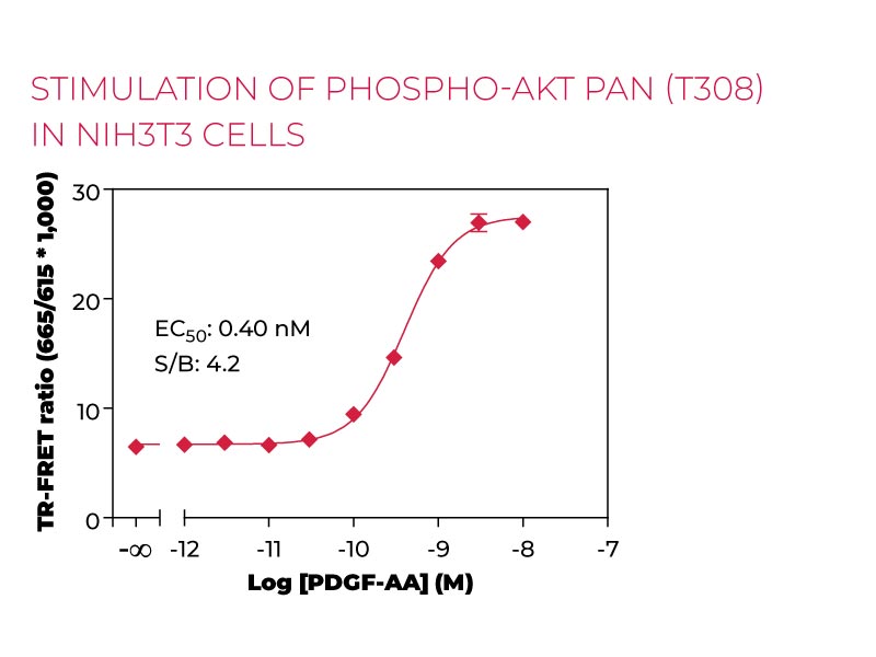 Stimulation of Phospho-AKT pan (T308) in NIH3T3 cells