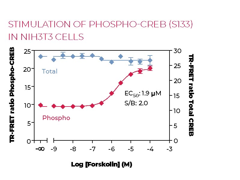 Stimulation of Phospho CREB (S133) in NIH3T3 cells Stimulation of Phospho-CREB (S133) in NIH3T3 cells
