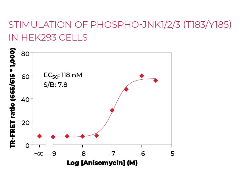 Stimulation of Phospho-JNK1-2-3 (T183-Y185) in HEK293 cells Stimulation of Phospho-JNK1-2-3 (T183-Y185) in HEK293 cells