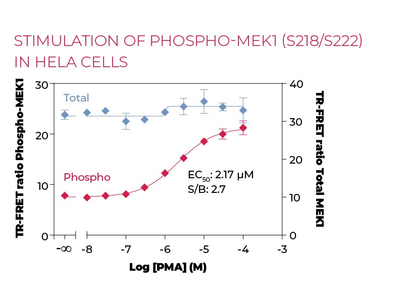 Stimulation of Phospho-MEK1 (S218-S222) in HeLa cells Stimulation of Phospho-MEK1 (S218-S222) in HeLa cells