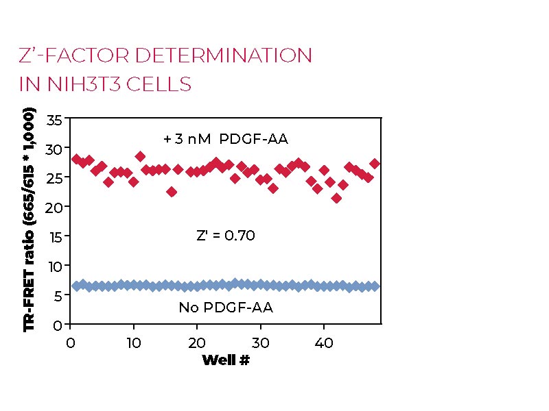 Z'-factor determination-NIH3T3-cells