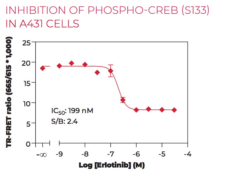 Inhibition of Phospho CREB (S133) in A431 cells Inhibition of Phospho CREB (S133) in A431 cells