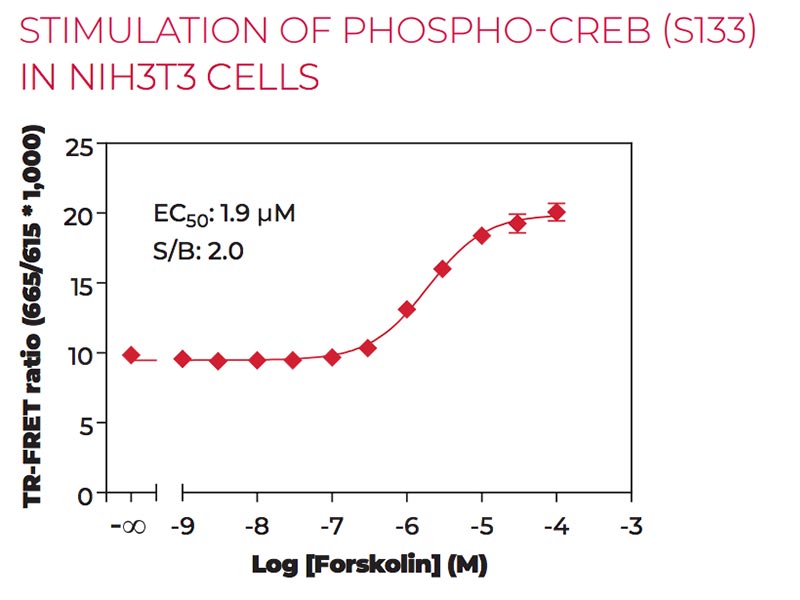 Stimulation of Phospho CREB (S133) in NIH3T3 cells Stimulation of Phospho CREB (S133) in NIH3T3 cells