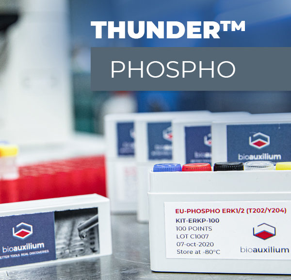 THUNDER™ High Performance Phospho-STAT1(Y701) TR-FRET Cell Signaling Assay Kit