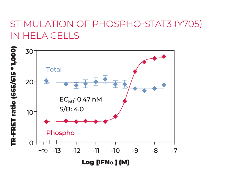 Stimulation of phospho-stat3 (Y705) in Hela cells Alt1