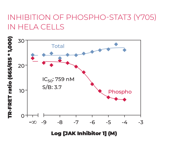 Inhibition of phospho-stat3 (Y705) in Hela cells Alt2