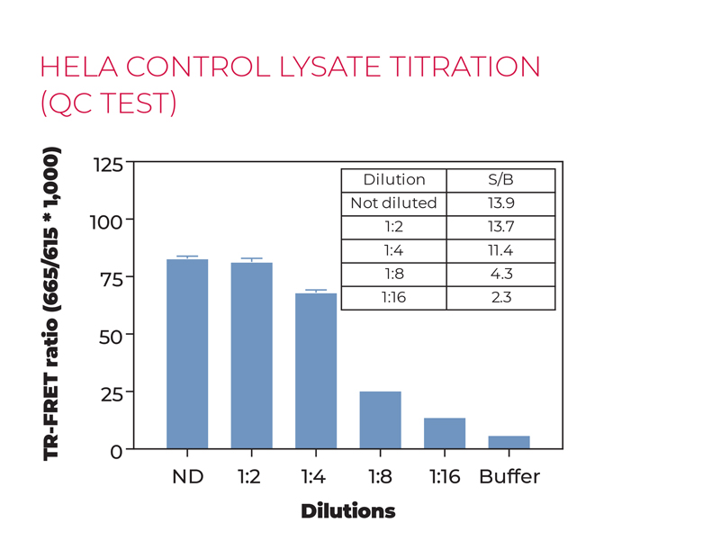 Hela control Lysate titration (QC Test) Alt3
