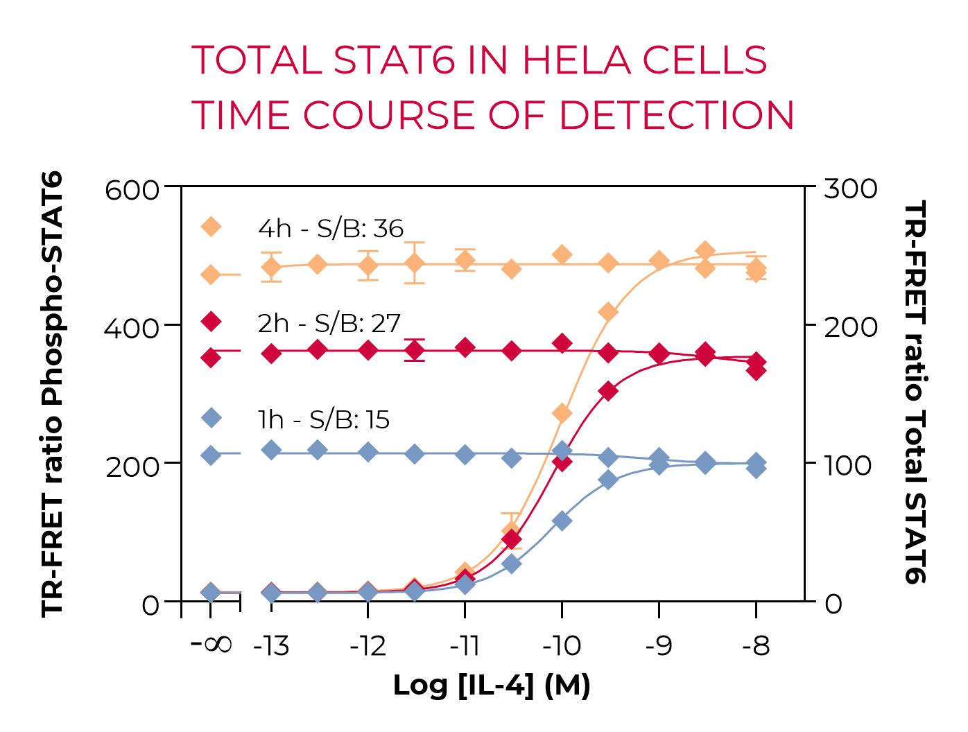 Total SAT6 (Y641) in HeLa cells-Time course of detection Total SAT6 (Y641) in HeLa cells-Time course of detection