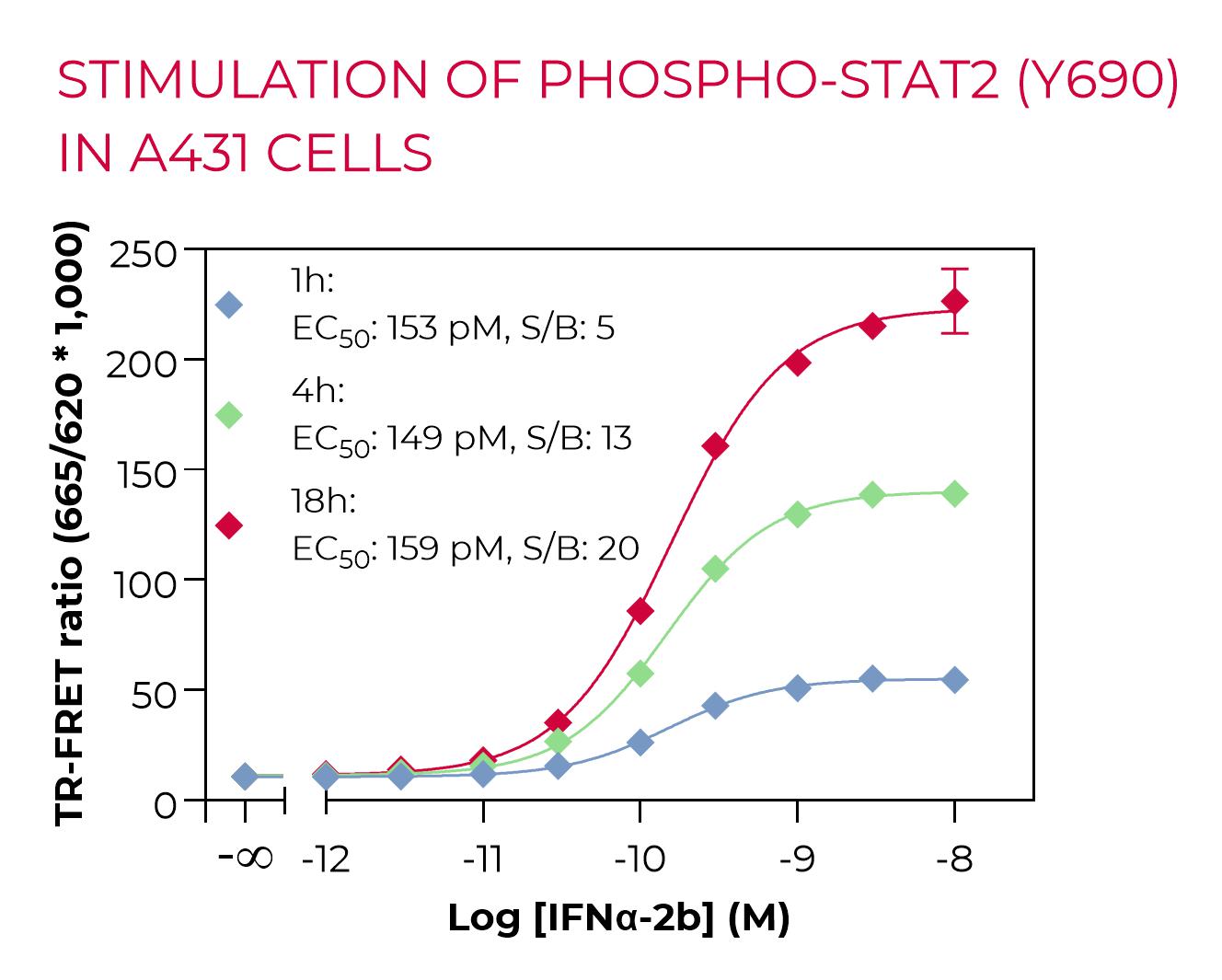 Stimulation of phospho-STAT2 (Y690) in A431 cells Stimulation-Phospho-STAT2